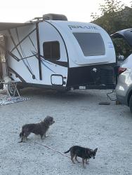 Lost Female Dog last seen Mountain Shadows mobile home park , Highland, CA 92346