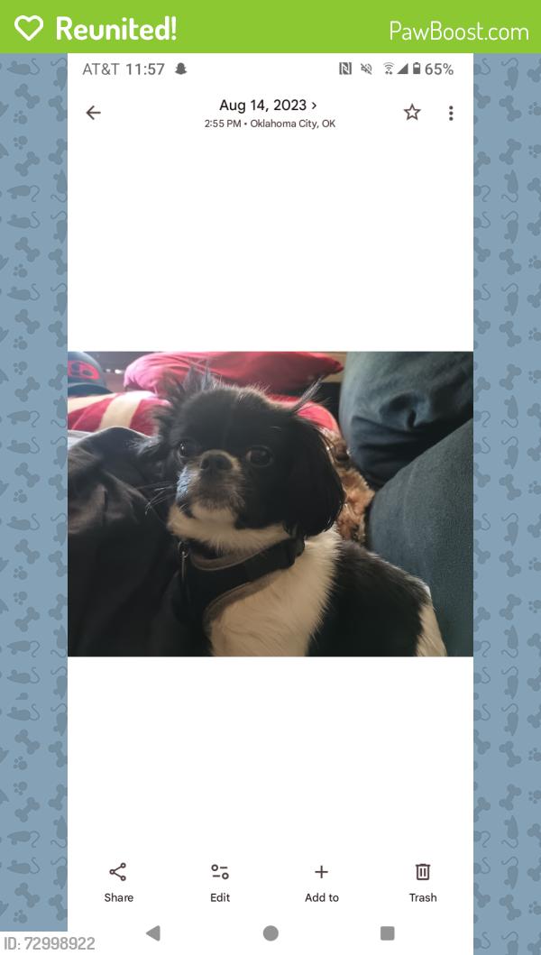Reunited Male Dog last seen Scissor tail park , Oklahoma City, OK 73104