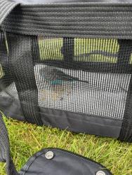 Found/Stray Unknown Bird last seen Lincoln and Bay, Milwaukee, WI 53207