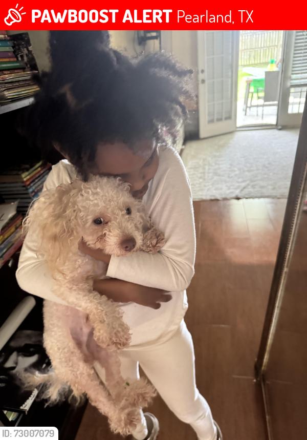 Lost Male Dog last seen Challenger Elementary , Pearland, TX 77584