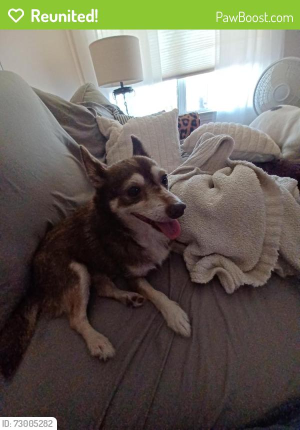 Reunited Male Dog last seen Wesley Chapel Stouts, Monroe, NC 28112