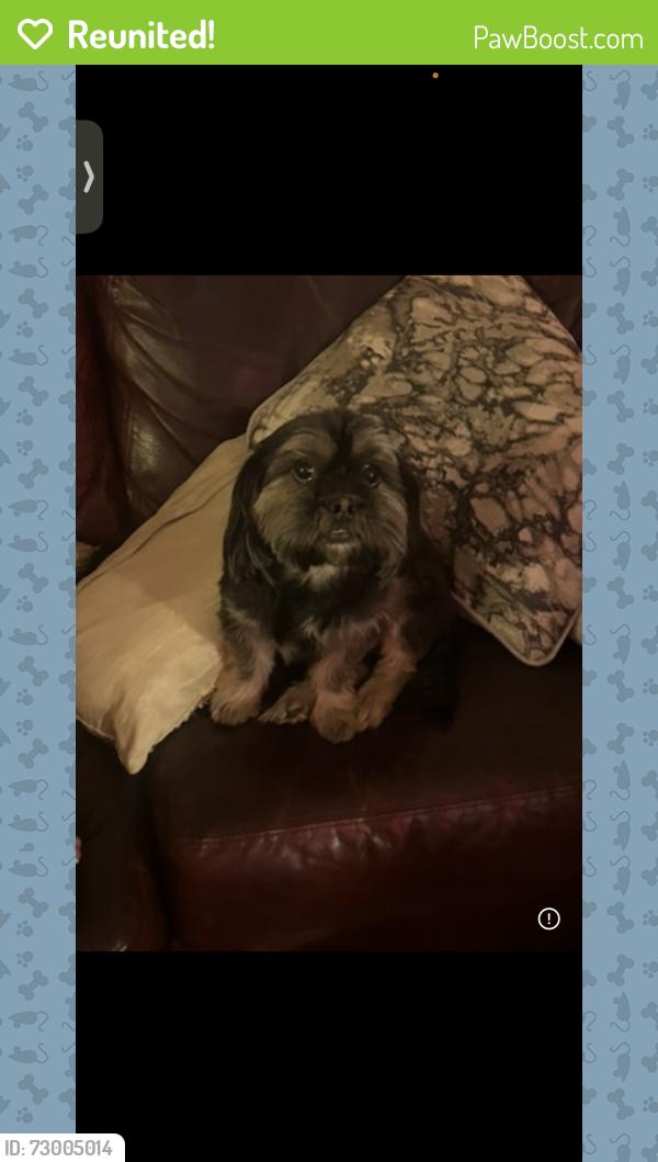Reunited Male Dog last seen Prado lane Colton Ca , Colton, CA 92324