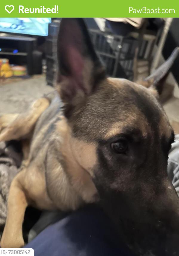 Reunited Male Dog last seen Klockner and ests, Hamilton Township, NJ 08619