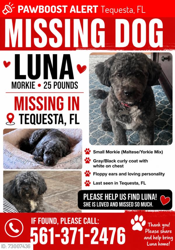 Lost Female Dog last seen Near tequesta dr, Tequesta, FL 33469