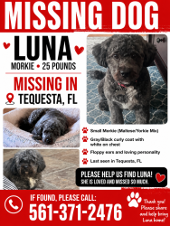 Lost Female Dog last seen Near tequesta dr, Tequesta, FL 33469
