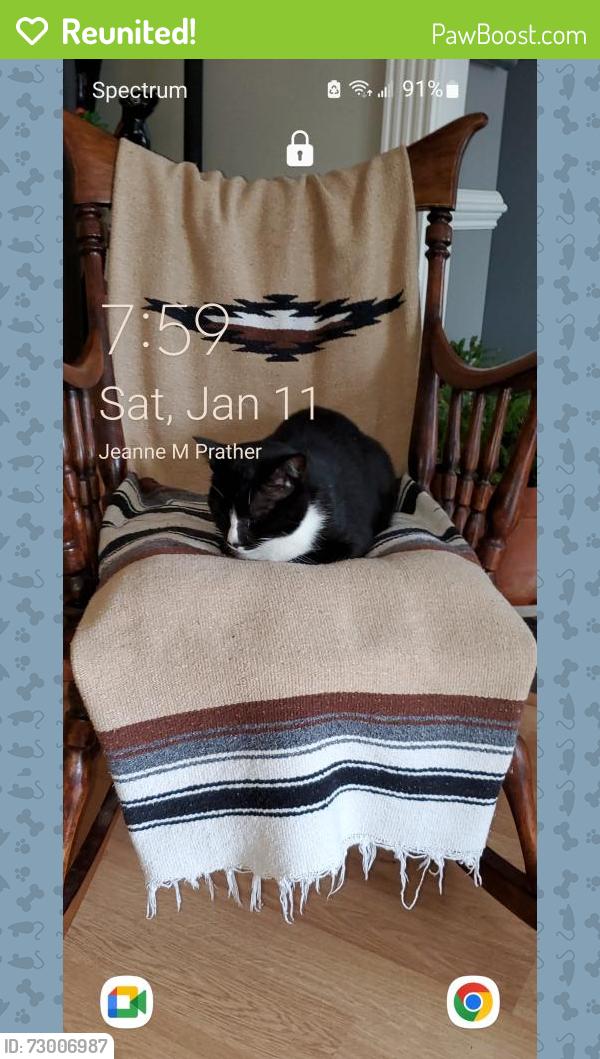 Reunited Male Cat last seen Partridge Road  and Wren Road  Dovefield , Fayetteville, NC 28306