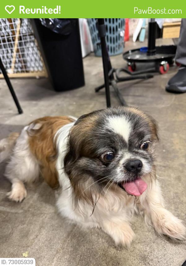 Reunited Unknown Dog last seen Beverly Bl and Monte Vista, Whittier, Whittier, CA 90606