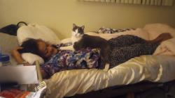 Lost Female Cat last seen 13th Street and Mesquite Ln just below Bonanza Rd, Las Vegas, NV 89101