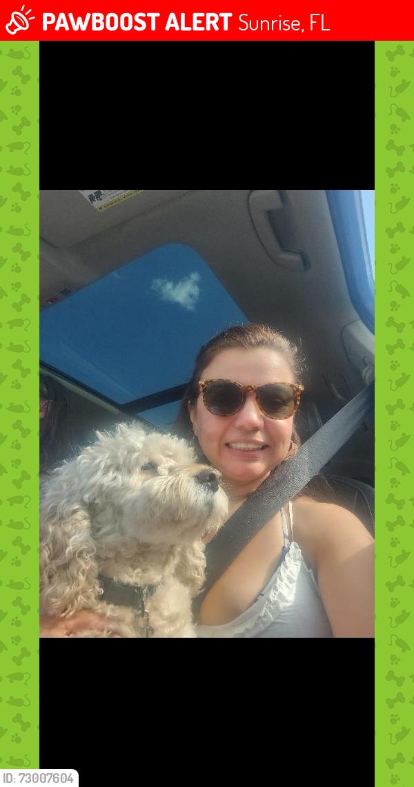 Lost Male Dog last seen Family farm , Sunrise, FL 33325