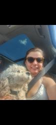 Lost Male Dog last seen Family farm , Sunrise, FL 33325