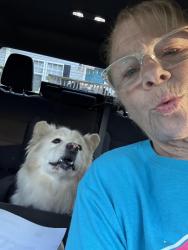 Reunited Male Dog last seen Anderson Road / 149th, Oklahoma City, OK 73165