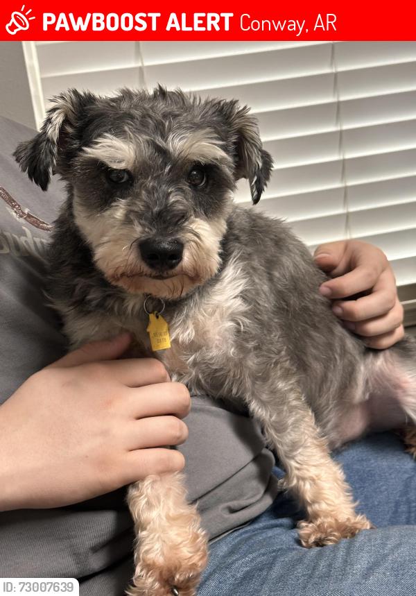 Lost Male Dog last seen Conway, Conway, AR 72032
