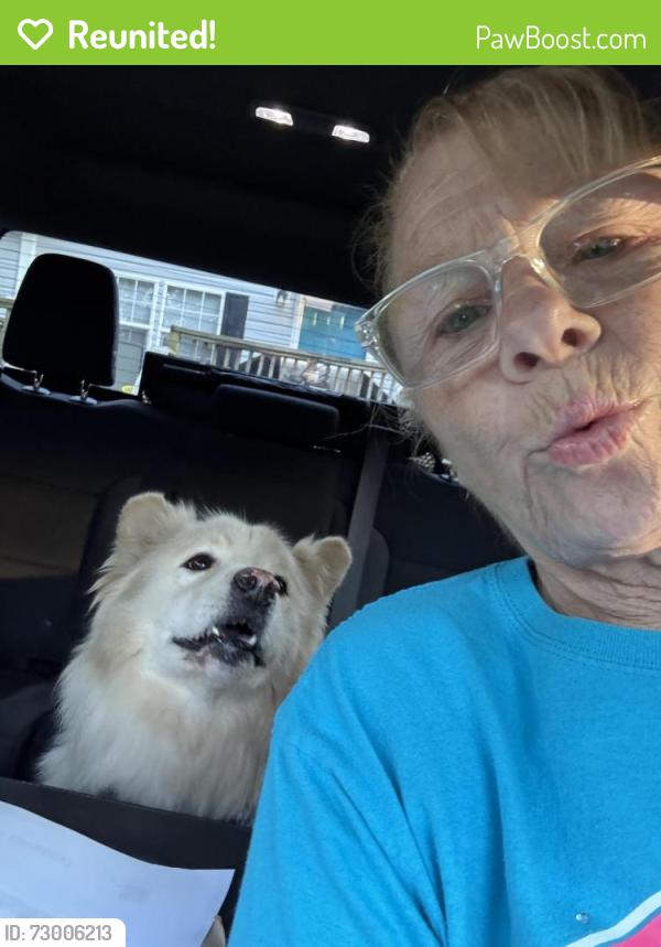 Reunited Male Dog last seen Anderson Road / 149th, Oklahoma City, OK 73165