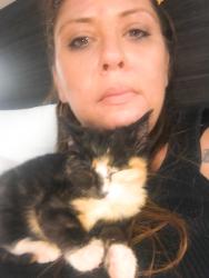 Lost Female Cat last seen MOJAVE AND EL EVADO RD., Adelanto, CA 92301