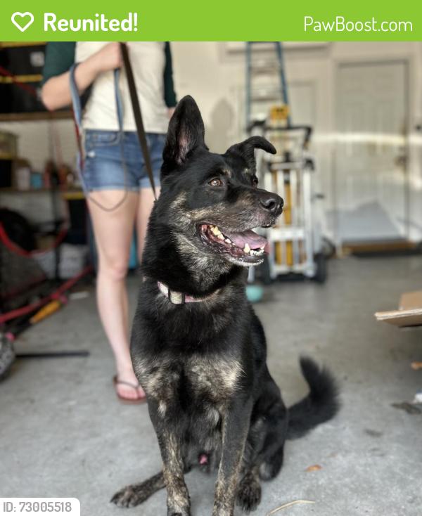Reunited Male Dog last seen Appomattox Dr , Wilmington, NC 28409