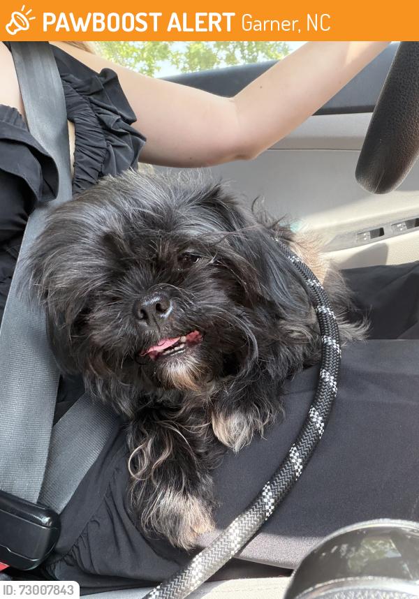 Found/Stray Unknown Dog last seen Harlowe ct, Garner, NC 27520