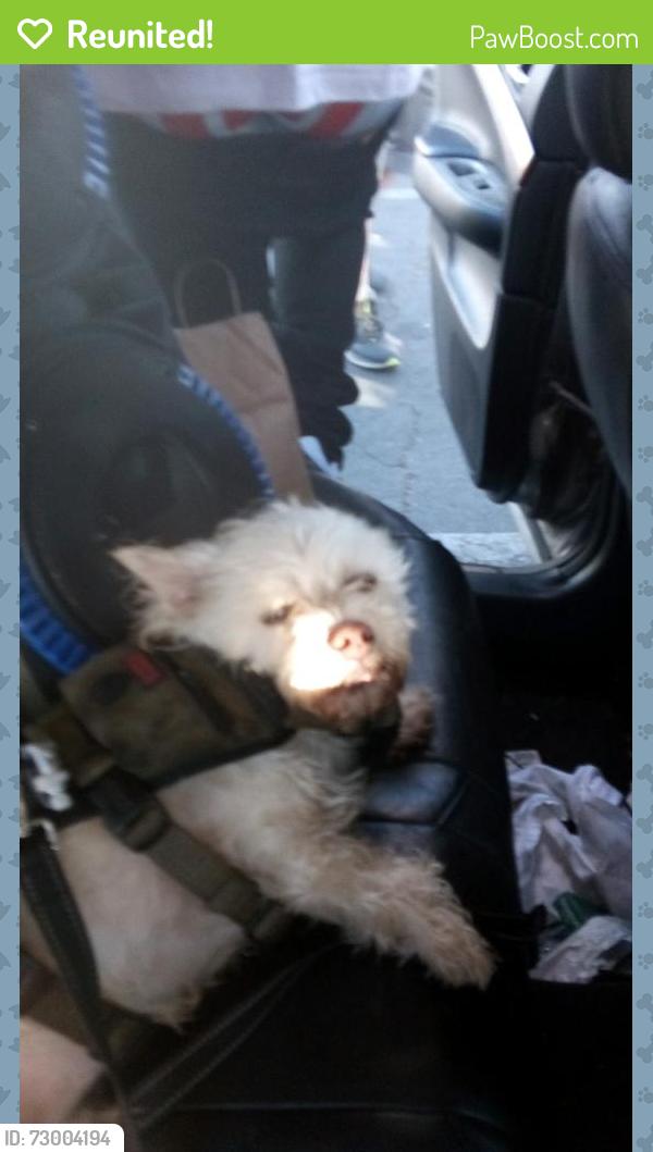 Reunited Male Dog last seen Fruitridge/Stockton/MLK, Sacramento, CA 95820