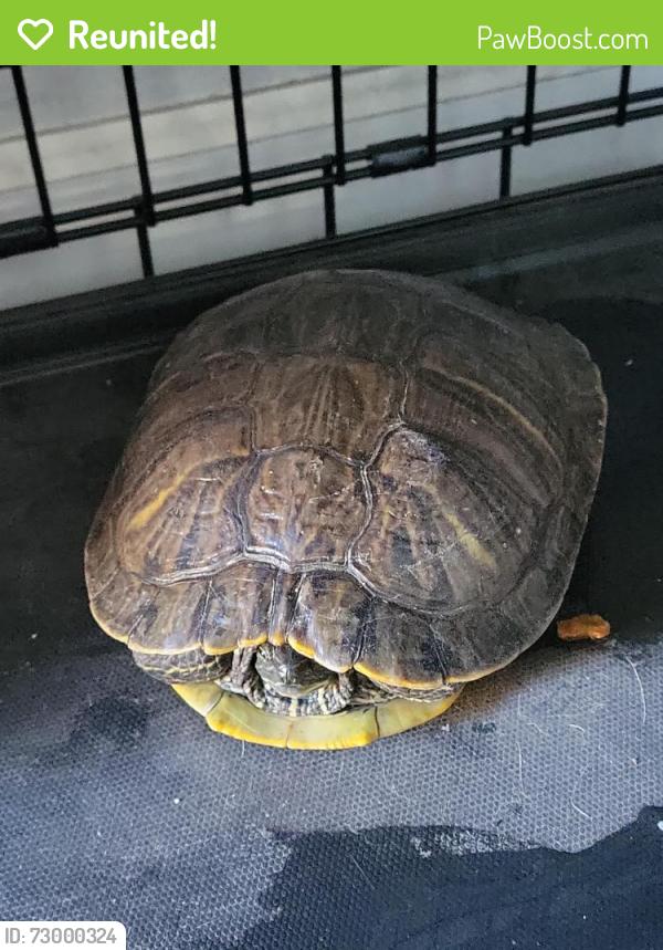 Reunited Unknown Reptile last seen E. Carrol & Pennsylvania Ave, Glendora, CA 91741