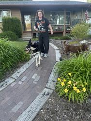 Found/Stray Male Dog last seen Park orchard school, Moses Lake, WA 98837