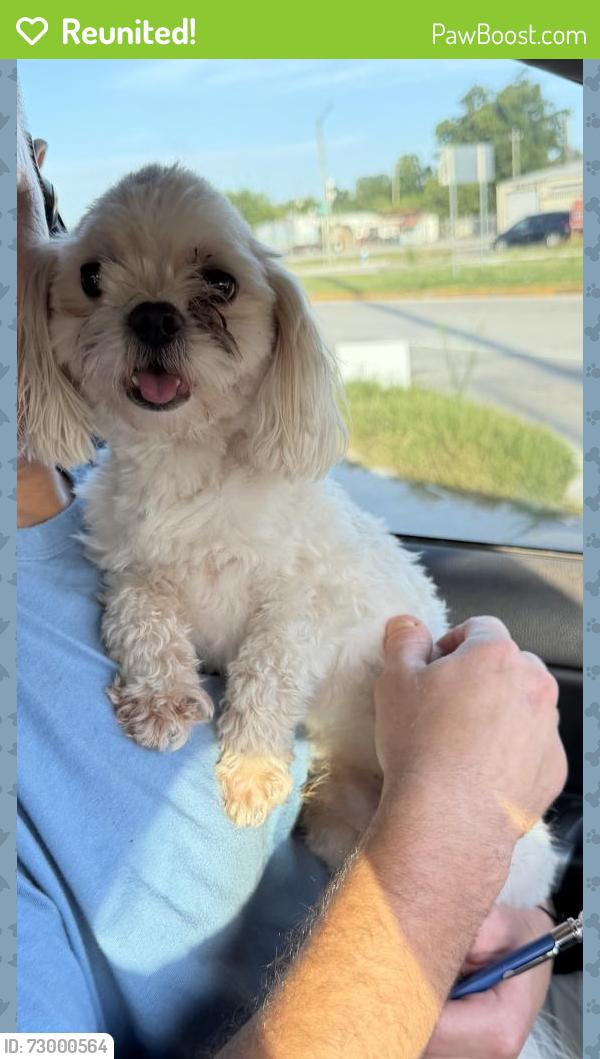 Reunited Unknown Dog last seen W Gulf Bank dr and Bunny Rub, Houston, TX 77037
