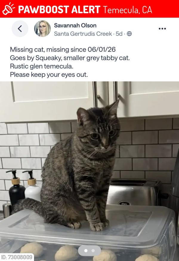 Lost Female Cat last seen Winchester and Margarita , Temecula, CA 92591