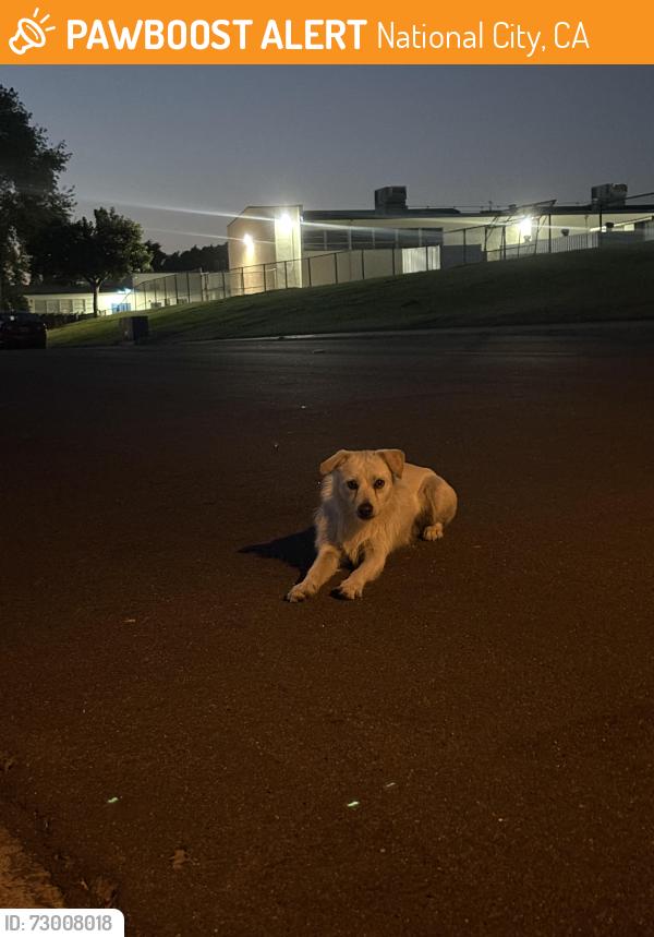 Found/Stray Male Dog last seen Granger junior high school, National City, CA 91950