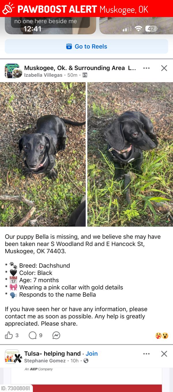 Lost Female Dog last seen Near, Muskogee, OK 74403