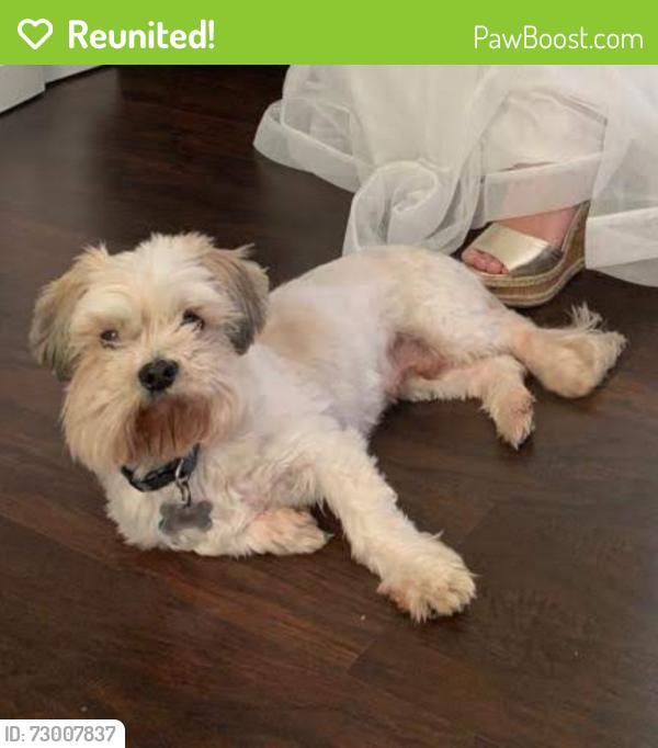Reunited Male Dog last seen Near Parkview dr willow Street pa , Willow Street, PA 17584