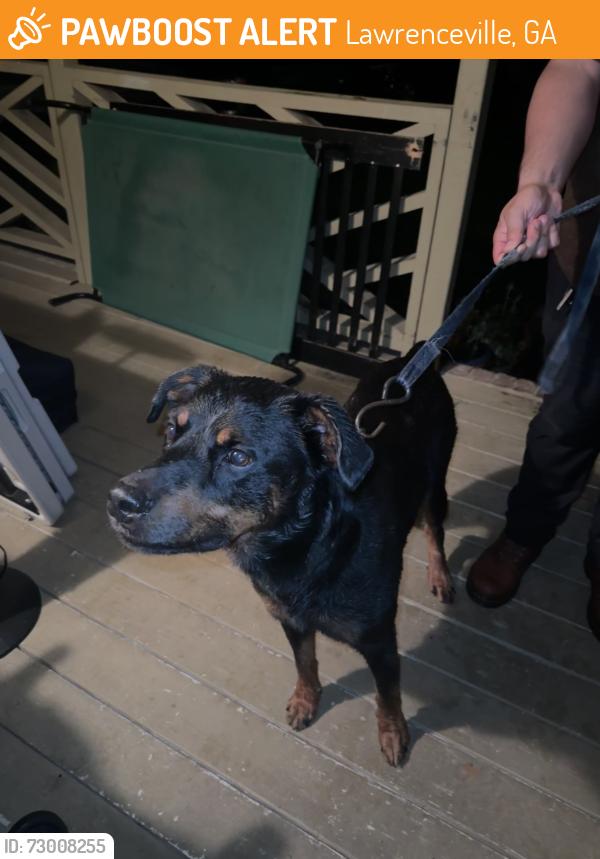 Found/Stray Male Dog last seen Rocky rd and old snellville , Lawrenceville, GA 30044
