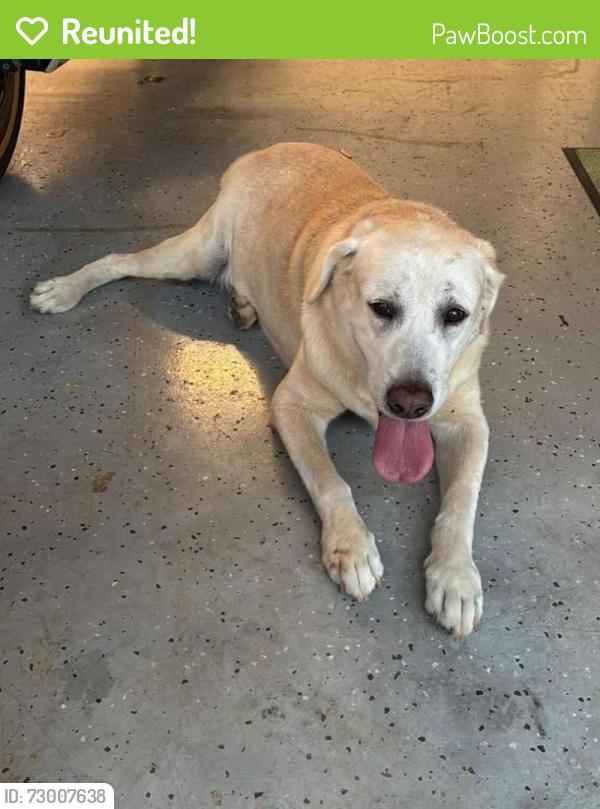 Reunited Male Dog last seen Glendale street, Port St. Lucie, FL 34987