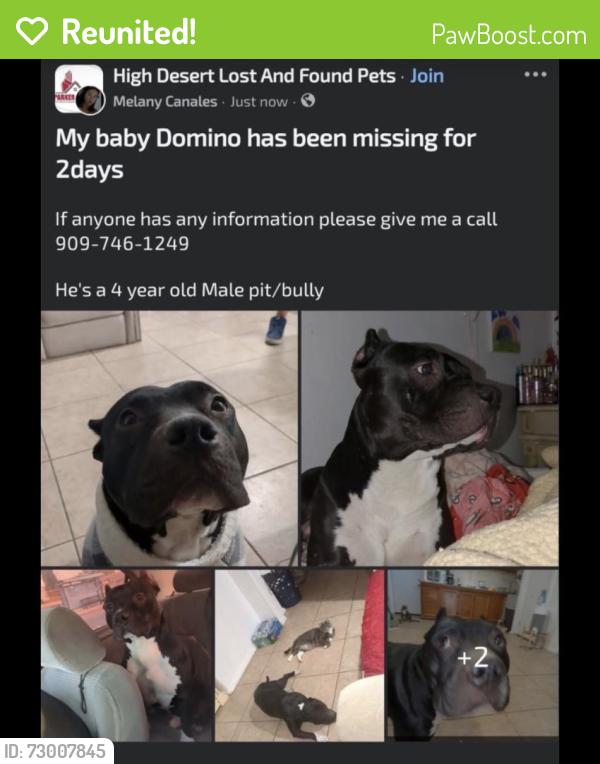 Reunited Male Dog last seen Eagle Eqnch, Victorville, CA 92392