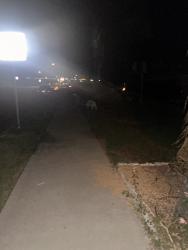 Found/Stray Unknown Dog last seen Magnolia and country club dr, Rialto, CA 92377