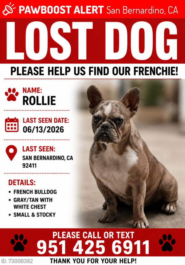 Lost Female Dog last seen N Colorado and N Arizona , San Bernardino, CA 92411
