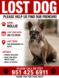 Lost Female Dog last seen N Colorado and N Arizona , San Bernardino, CA 92411