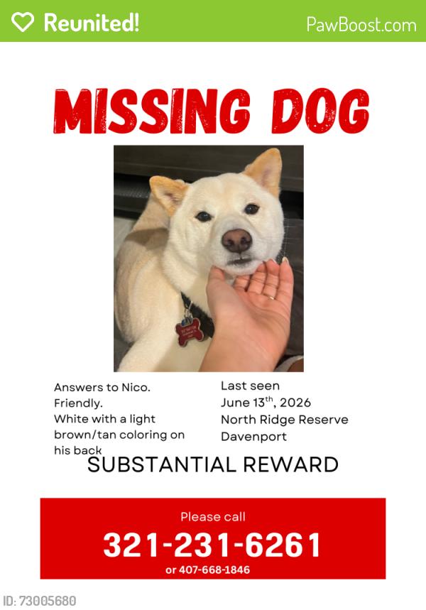 Reunited Male Dog last seen North Ridge Reserve Davenport FL, Davenport, FL 33837