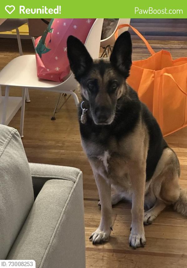 Reunited Female Dog last seen air tag pinged at Kansas & Laurel, Oakland, CA 94602