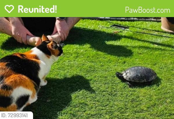 Reunited Male Other last seen Walnut and Park, Livermore, CA 94551