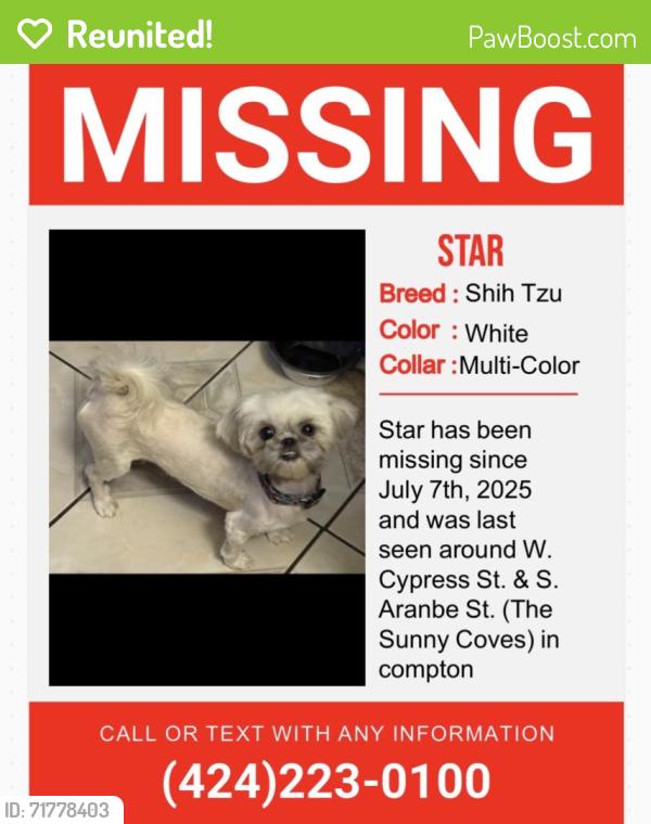 Reunited Female Dog last seen Near W Cocoa St, Compton, CA 90220, USA, Compton, CA 90220