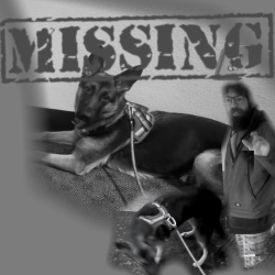 Lost Male Dog last seen Sw Portland by providence park , Portland, OR 97205
