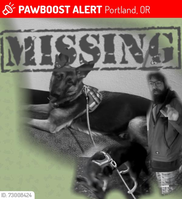Lost Male Dog last seen Sw Portland by providence park , Portland, OR 97205