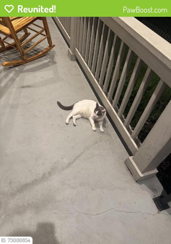 Reunited Unknown Cat last seen Tchoup & Louisiana , New Orleans, LA 70115