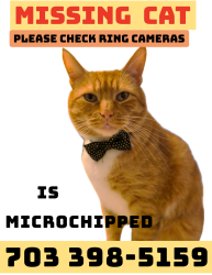 Reunited Male Cat last seen Coverstone dr CROCE COURT, Manassas, VA 20109