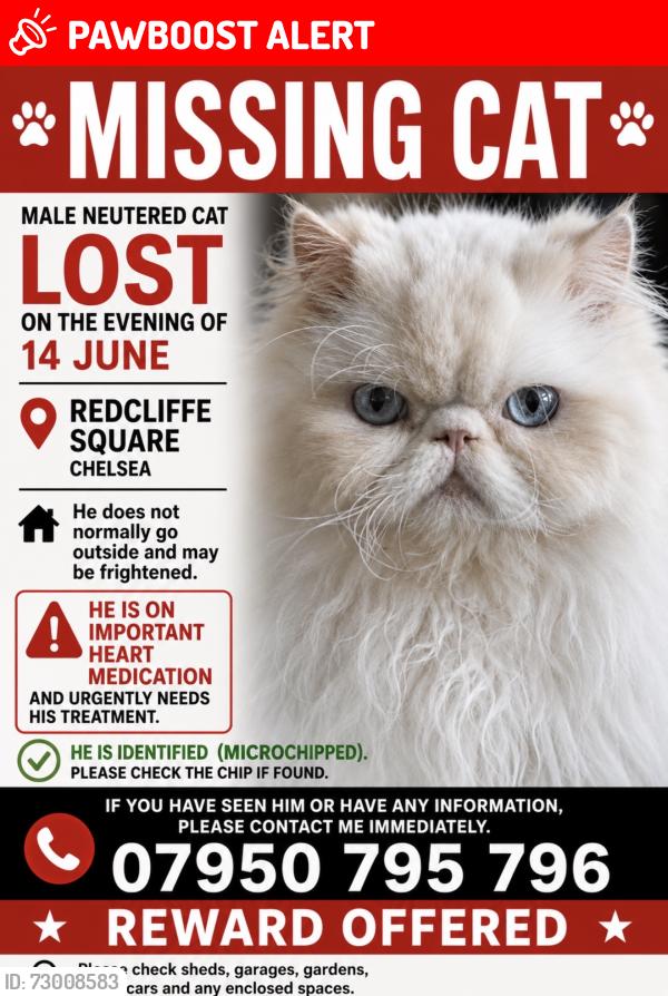 Lost Male Cat last seen Redcliffe square , Greater London, England SW10