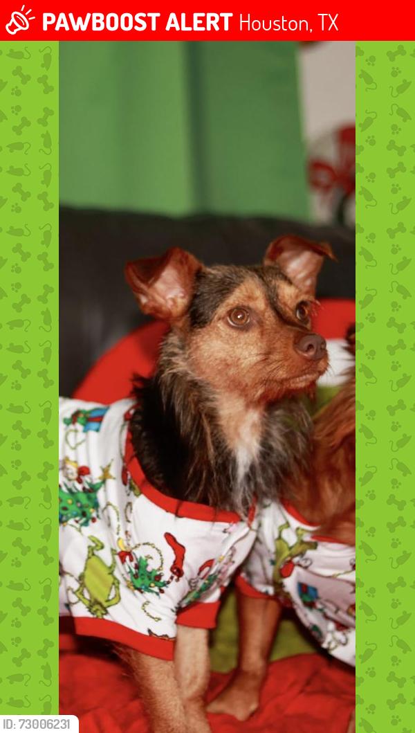 Lost Male Dog last seen Keeland Street, Houston, TX 77093