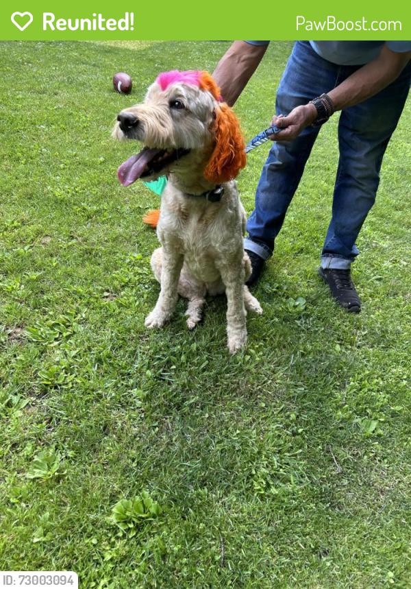 Reunited Female Dog last seen Lake Shawnee, Jefferson, NJ 07438