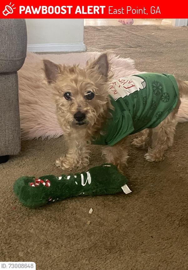 Lost Female Dog last seen Bullock Habersham apmt , East Point, GA 30344