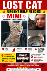 Lost Female Cat last seen Skipper dr , Haughton, LA 71037