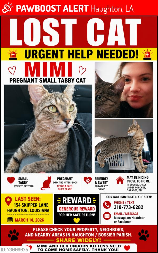 Lost Female Cat last seen Skipper dr , Haughton, LA 71037