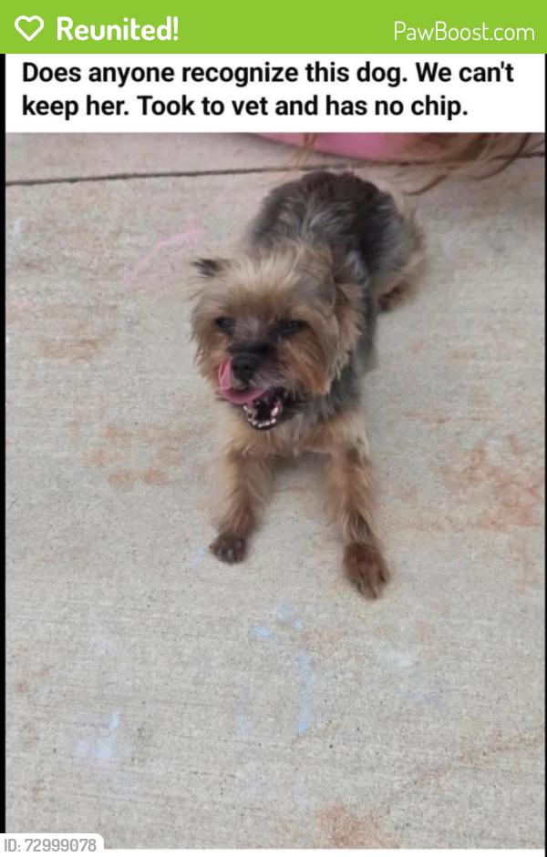 Reunited Female Dog last seen Waterloo and Western , Edmond, OK 73025