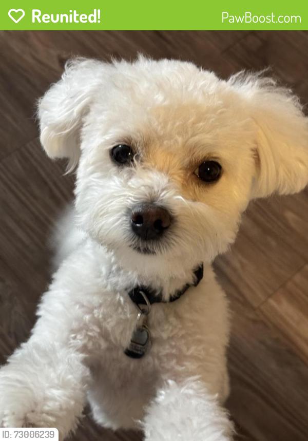Reunited Male Dog last seen Near Kingswood st 92114, San Diego, CA 92114